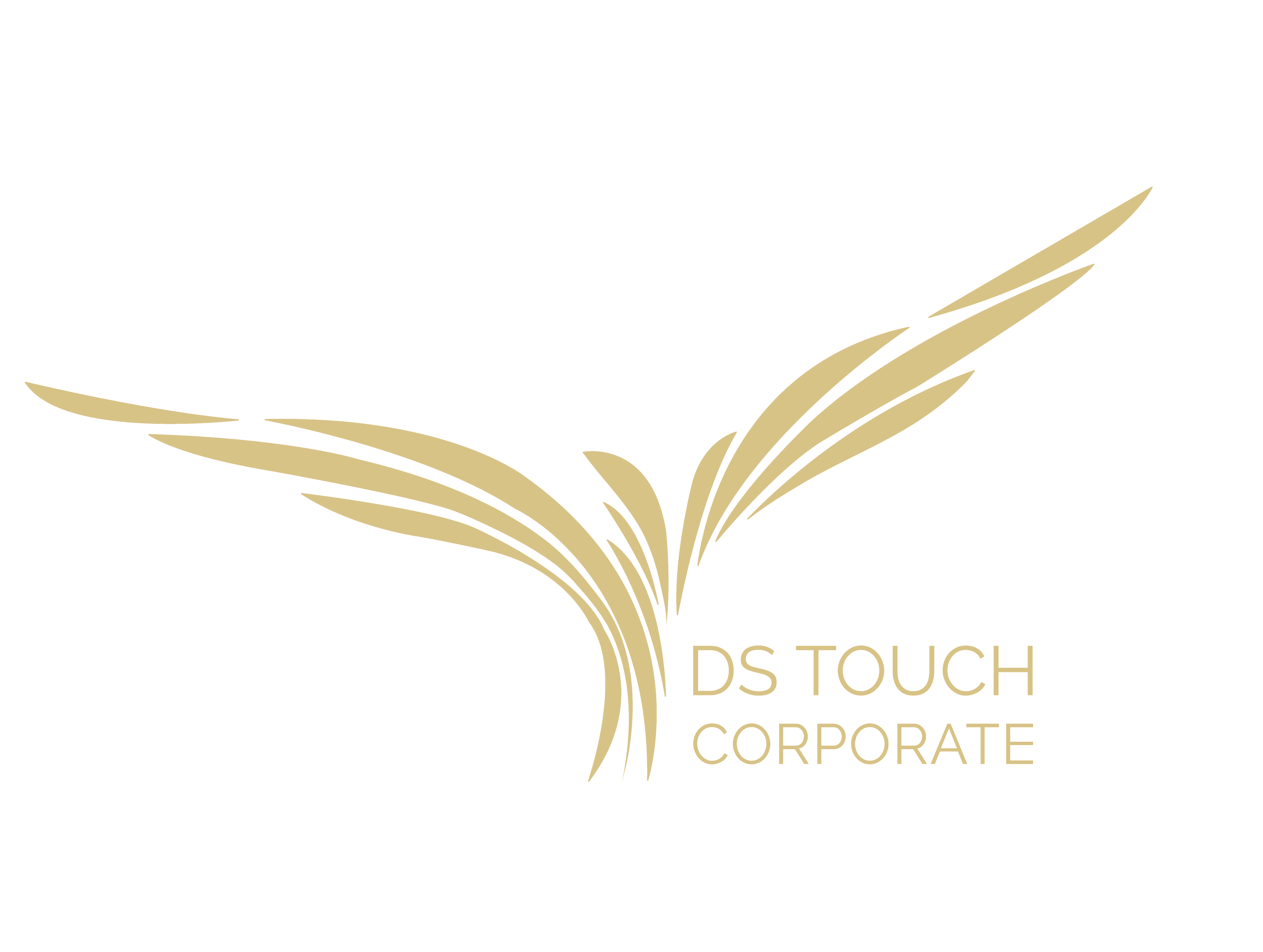DS Corporate